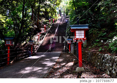 高尾山　登山ルート1号路の風景 107788677