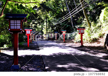 高尾山　登山ルート1号路の風景 107788692