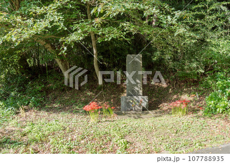 高館の麓の往古両軍戦死者供養塔【衣川の戦い】岩手県平泉町 107788935