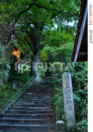 福島県会津若松市のパワースポット 羽黒山湯上神社の参道 福島県会津若松市のパワースポット 羽黒山湯上神社の参道 107788956