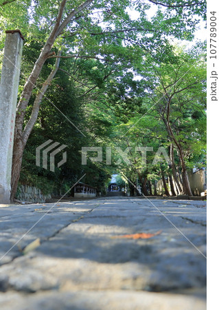 大磯　高来神社周辺の風景 107789004
