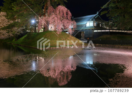 青森県弘前市下白銀町弘前公園　桜並木に囲まれる弘前城外濠の花筏と追手門前の紅枝垂れ桜の夜景 107789239