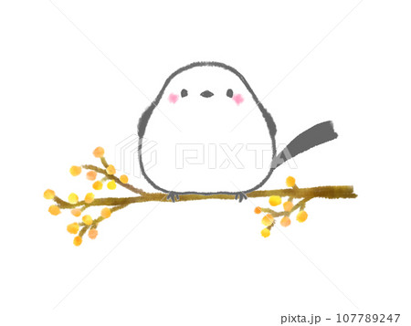 黄色い木の実の枝にとまる小鳥（シマエナガ） 107789247