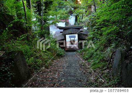 福島県会津若松市のパワースポット　羽黒山湯上神社の参道 107789403