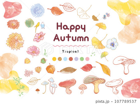 イラスト素材: 秋の紅葉と秋桜　水彩風 107789537