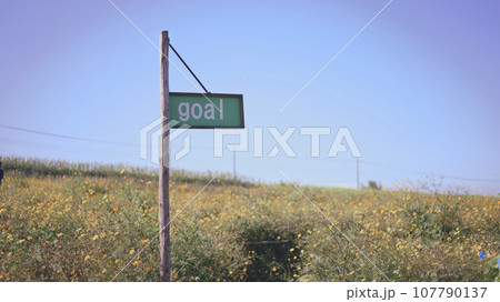 ゴール 107790137