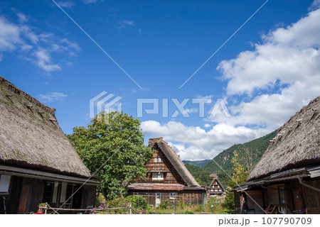 世界遺産「白川郷合掌造り集落」の情景 世界遺産「白川郷合掌造り集落」の情景 107790709