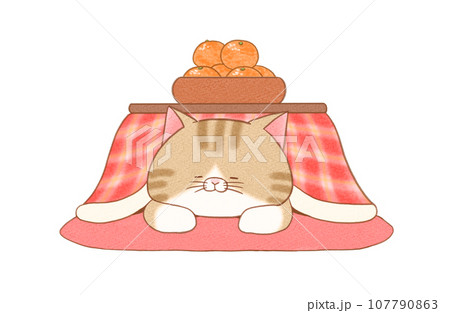 こたつで寝る猫 こたつで寝る猫 107790863
