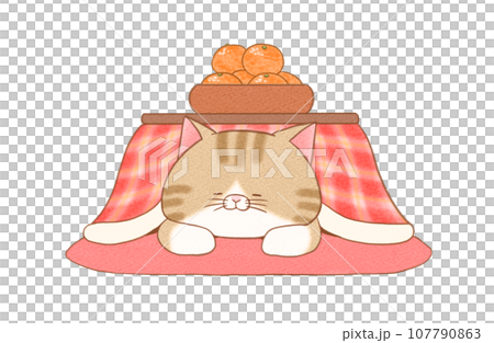 こたつで寝る猫 こたつで寝る猫 107790863