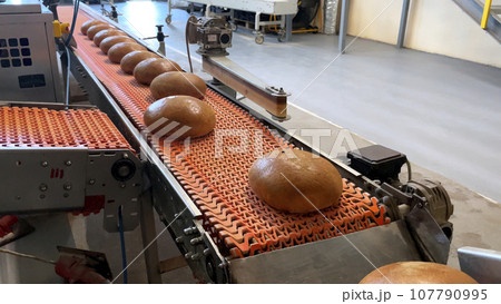A loaf of bread on the production line in a bakery. Baked loaf of bread in the bakery, just came out of the oven with a beautiful golden color. 107790995
