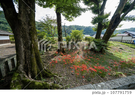 日本書紀に出てくる景行天皇が美濃を行幸の際の弟姫(おとひめ)伝説の地 泳宮(くくりのみや)の景色 日本書紀に出てくる景行天皇が美濃を行幸の際の弟姫(おとひめ)伝説の地 泳宮(くくりのみや)の景色 107791759