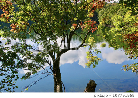 オンネトー（北海道・足寄郡足寄町） 107791969