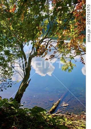 オンネトー（北海道・足寄郡足寄町） 107791970