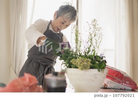 寄せ植えをするグレイヘアの上品な日本人女性 107792021