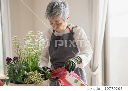 寄せ植えをするグレイヘアの上品な日本人女性 107792024