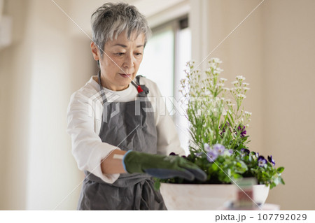 寄せ植えをするグレイヘアの上品な日本人女性 107792029
