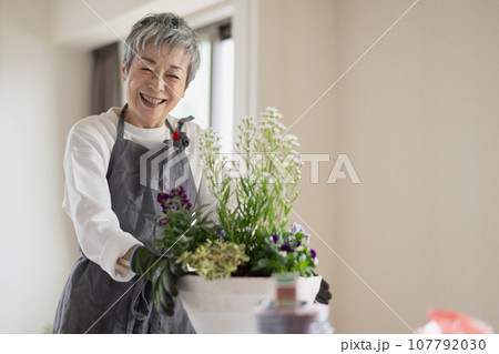 寄せ植えをするグレイヘアの上品な日本人女性 107792030