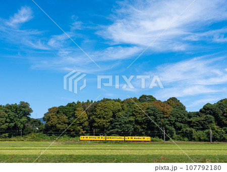 三重県いなべ市を走る三岐鉄道 107792180
