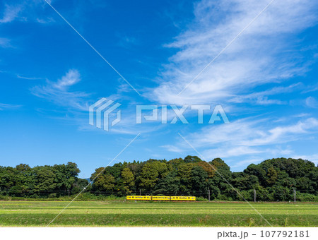 三重県いなべ市を走る三岐鉄道 三重県いなべ市を走る三岐鉄道 107792181