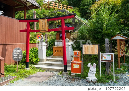 河口湖のうさぎ神社 河口湖のうさぎ神社 107792203