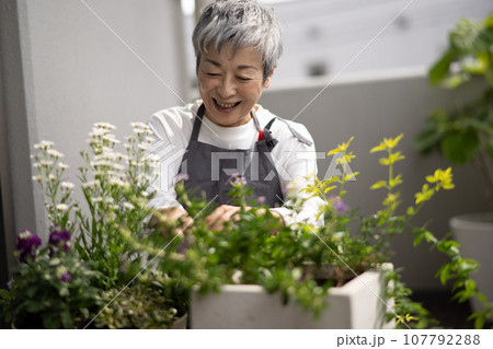 ベランダで植物を育てるグレイヘアの上品な日本人女性 107792288