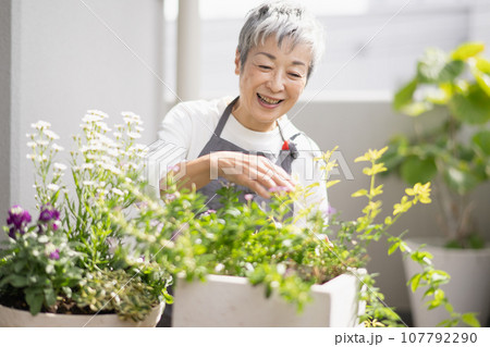 ベランダで植物を育てるグレイヘアの上品な日本人女性 107792290