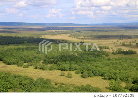 釧路湿原・サテライト展望台(北海道・釧路郡釧路町) 釧路湿原・サテライト展望台(北海道・釧路郡釧路町) 107792309