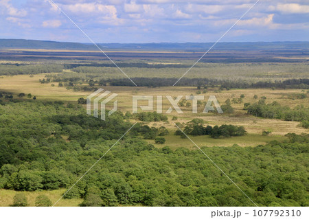 釧路湿原・サテライト展望台（北海道・釧路郡釧路町） 107792310