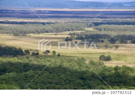 釧路湿原・サテライト展望台（北海道・釧路郡釧路町） 107792312