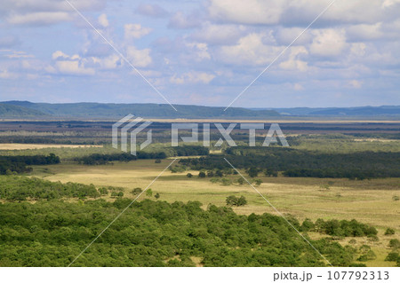 釧路湿原・サテライト展望台（北海道・釧路郡釧路町） 107792313