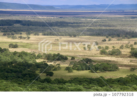釧路湿原・サテライト展望台（北海道・釧路郡釧路町） 107792318