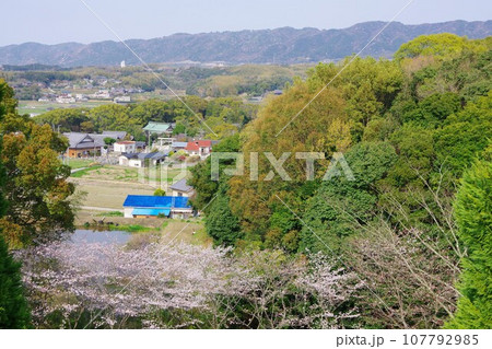 兵庫県淡路市 香りの公園から伊弉諾神宮・パルシェ香りの館方面を望む 兵庫県淡路市 香りの公園から伊弉諾神宮・パルシェ香りの館方面を望む 107792985