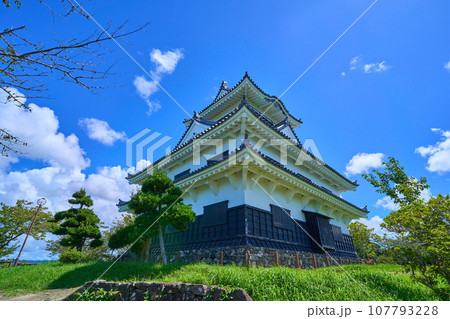 千葉県館山市館山の城山公園の館山城(模擬天守)を西側から見る 千葉県館山市館山の城山公園の館山城(模擬天守)を西側から見る 107793228