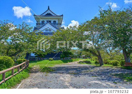 千葉県館山市館山の城山公園の館山城(模擬天守)を西側から見る 107793232