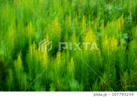 ICMによる雑草イメージ 107793254