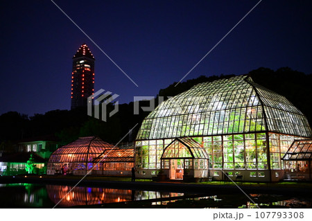 名古屋市東山動植物園温室前館のライトアップ 107793308