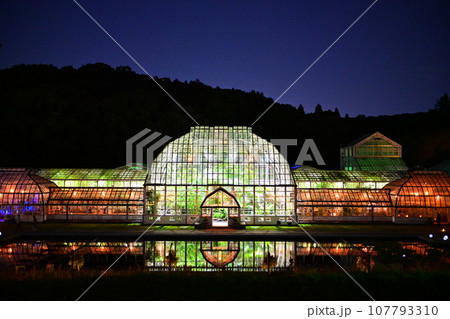 名古屋市東山動植物園温室前館のライトアップ 107793310
