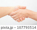 握手する人の手 握手する人の手 107793514