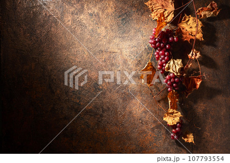 Vine with dried leaves and ripe grapes. 107793554