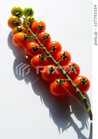 自宅で収穫した　赤のグラデが美しい　房成のミニトマト　白バック 107793584