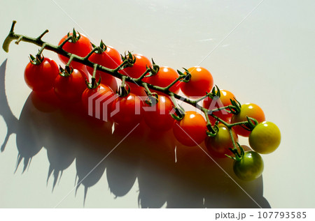 自宅で収穫した　赤のグラデが美しい　房成のミニトマト　白バック 107793585