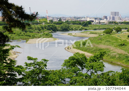 多摩川の流れ 107794044