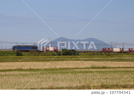 秋の信越本線を行く貨物列車（新潟県：青色-EF510形電気機関車） 107794341