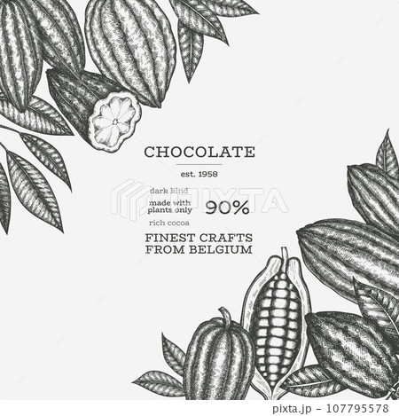 Cocoa Banner Template. Chocolate Retro Cocoa Beans Background. Vector Vintage Style Hand Drawn Illustration. 107795578