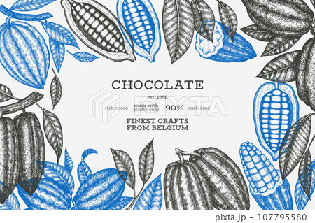 Cocoa Banner Template. Chocolate Retro Cocoa Beans Background. Vector Vintage Style Hand Drawn Illustration. Cocoa Banner Template. Chocolate Retro Cocoa Beans Background. Vector Vintage Style Hand Drawn Illustration. 107795580