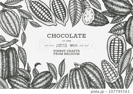 Cocoa Banner Template. Chocolate Retro Cocoa Beans Background. Vector Vintage Style Hand Drawn Illustration. Cocoa Banner Template. Chocolate Retro Cocoa Beans Background. Vector Vintage Style Hand Drawn Illustration. 107795581