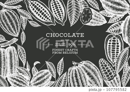 Cocoa Chalk Board Vector Banner Template. Chocolate Retro Cocoa Beans Background. Vintage Style Hand Drawn Illustration. 107795582