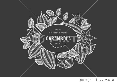 Hand drawn sketch style carambola banner. Organic fresh fruit vector illustration on chalk board. Retro fruit design template 107795618