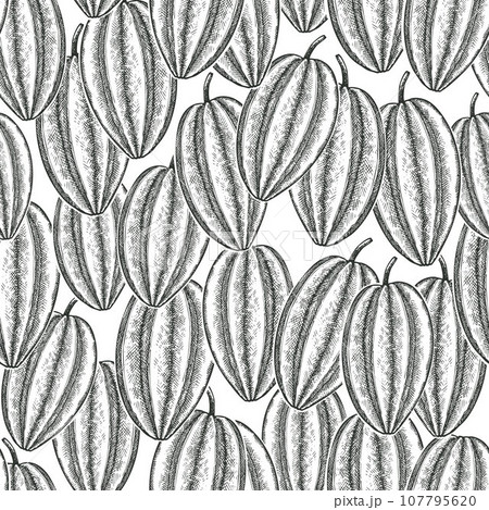 Hand drawn sketch style carambola seamless pattern. Organic fresh fruit vector illustration. Retro fruit background 107795620