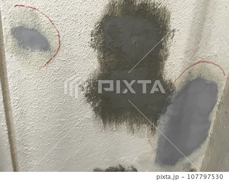 モルタル仕上げを行った補修箇所 107797530